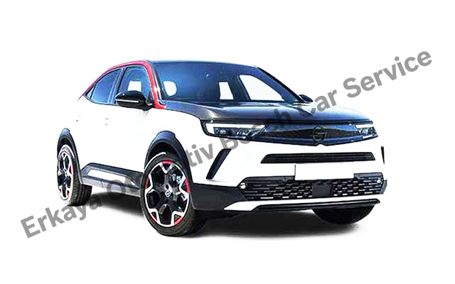 Ankara Opel Servisi 
