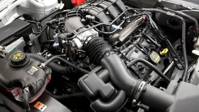 Motor