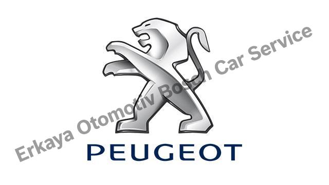 Ankara Peugeot Servisi 